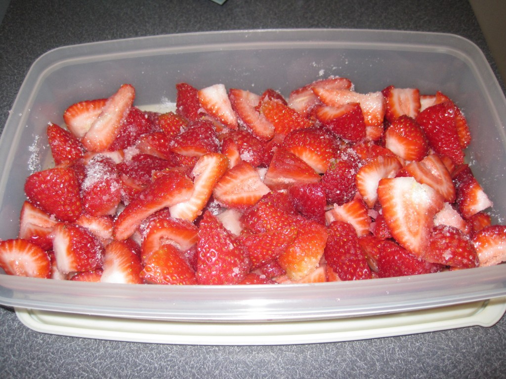 Strawberry_shortcake3