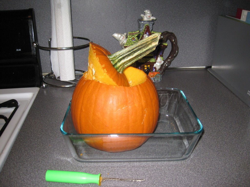 Pumpkin_tutorial1