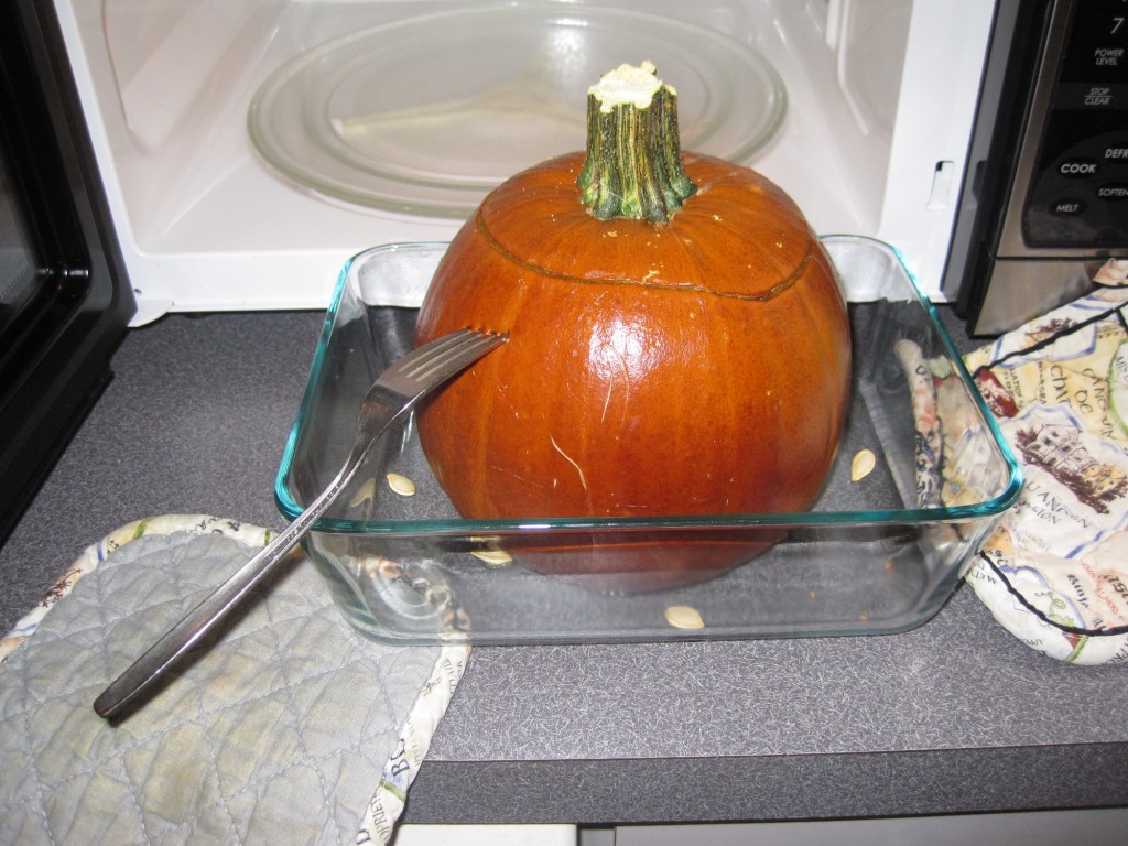 Pumpkin_tutorial4