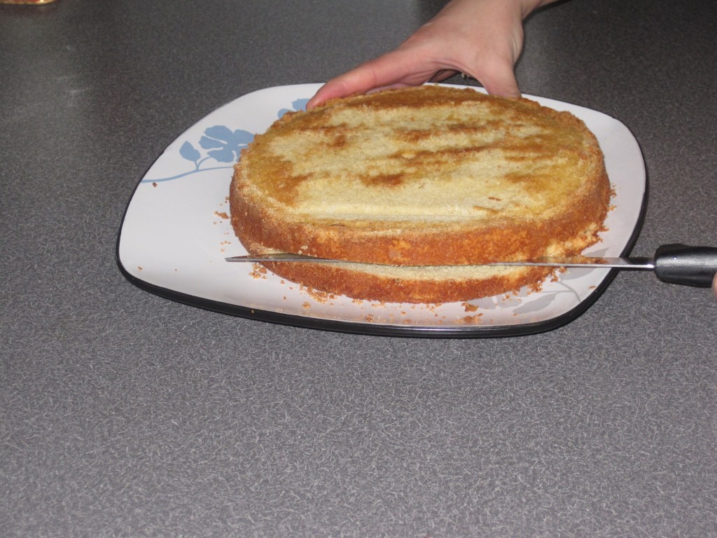 Cake_tutorial3